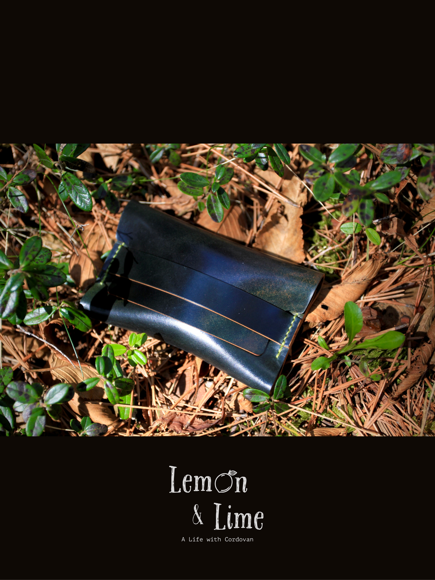 Shell Wallet / Simple / Coin Purse with Strap【Horween】シェルコードバンでつくったストラップで留める小銭入れ