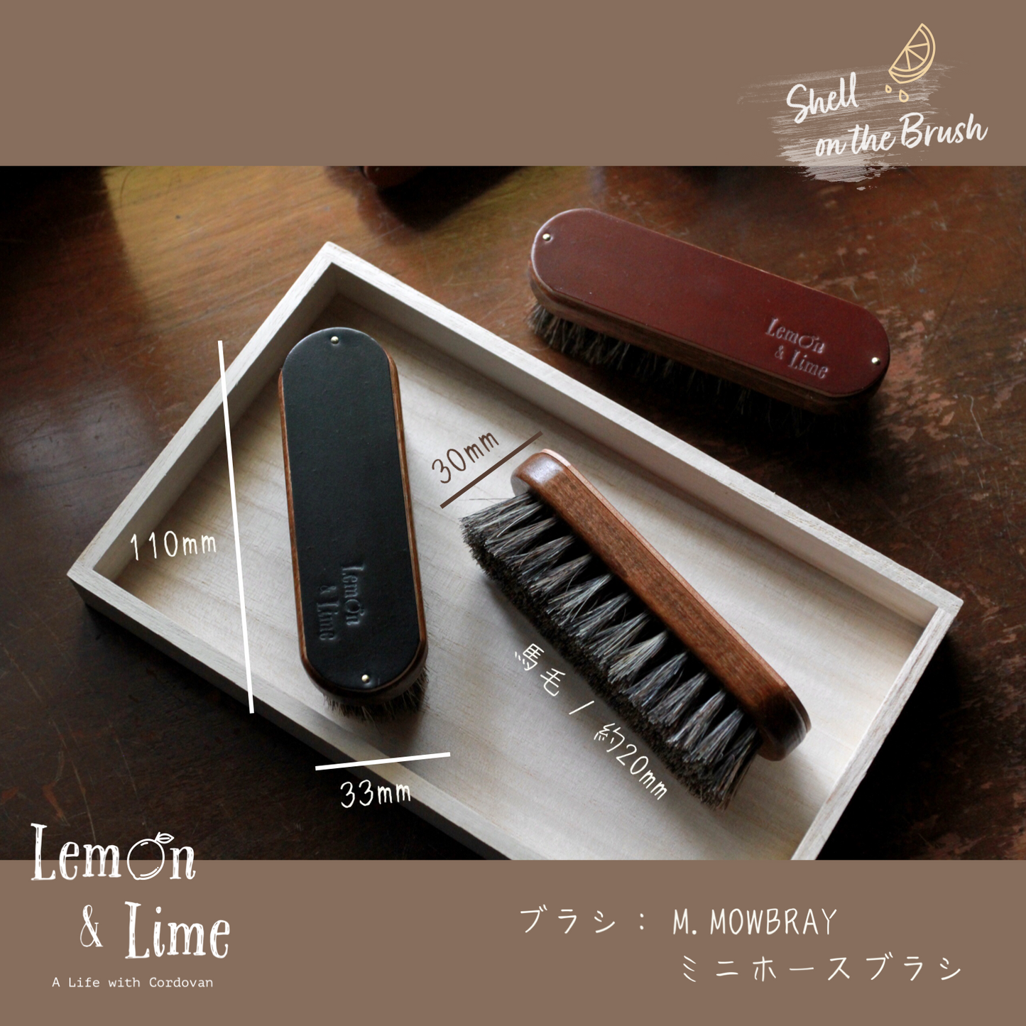 Shell on the Brush【Horween】シェルコードバンをあしらったお手入れ用ブラシ