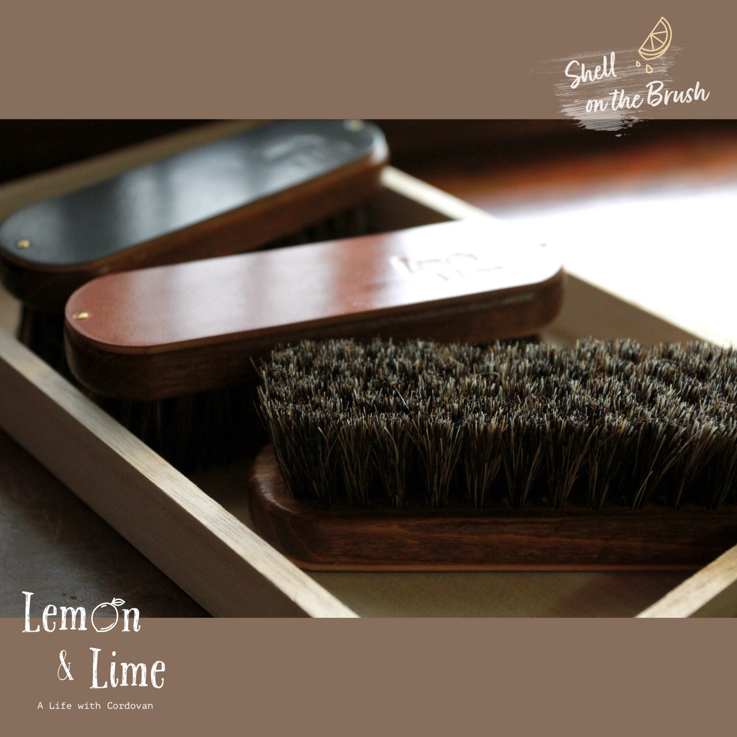 Shell on the Brush【Horween】シェルコードバンをあしらったお手入れ用ブラシ